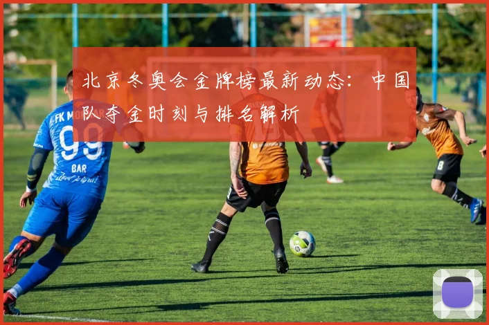 北京冬奥会金牌榜最新动态：中国队夺金时刻与排名解析