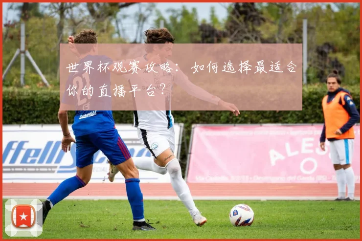 世界杯观赛攻略：如何选择最适合你的直播平台？
