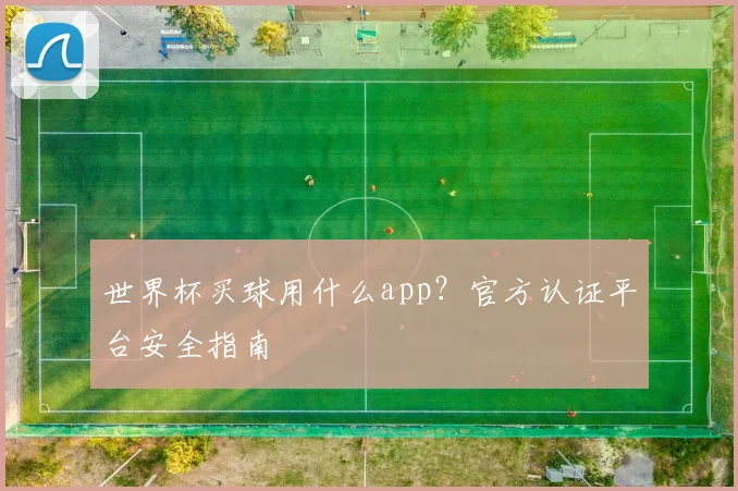世界杯买球用什么app？官方认证平台安全指南