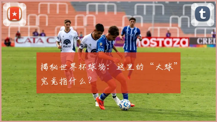 揭秘世界杯球场：这里的“大球”究竟指什么？