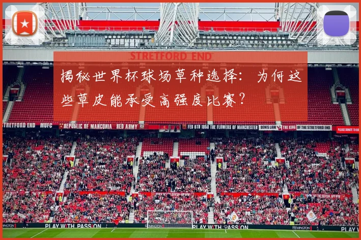 揭秘世界杯球场草种选择：为何这些草皮能承受高强度比赛？