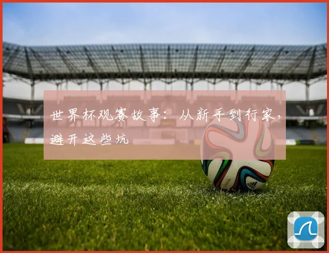 世界杯观赛故事：从新手到行家，避开这些坑