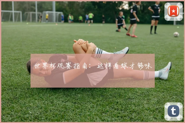 世界杯观赛指南：这样看球才够味