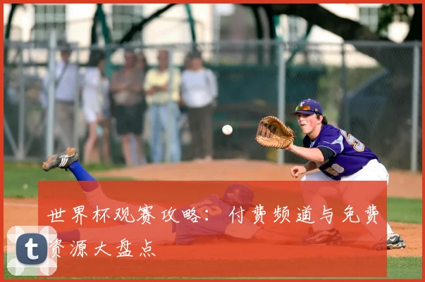 世界杯观赛攻略：付费频道与免费资源大盘点