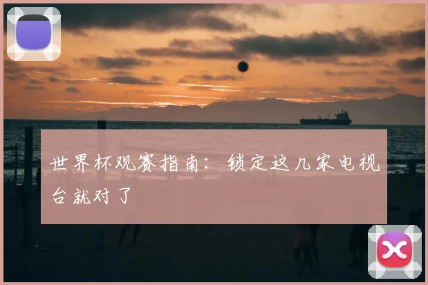 世界杯观赛指南：锁定这几家电视台就对了