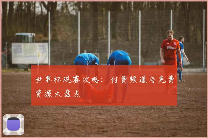 世界杯观赛攻略：付费频道与免费资源大盘点