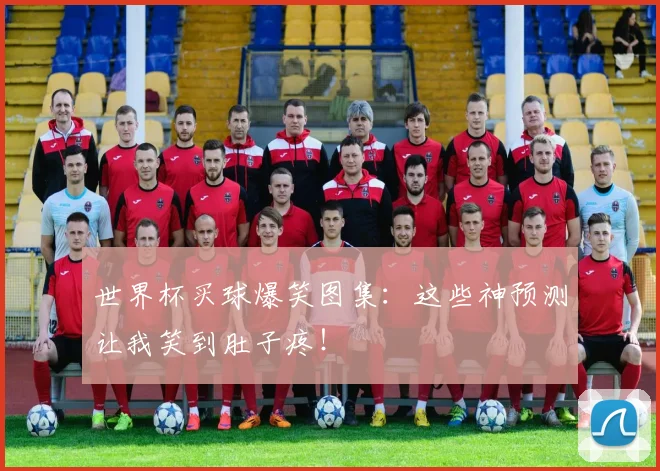 世界杯买球爆笑图集:这些神预测让我笑到肚子疼!