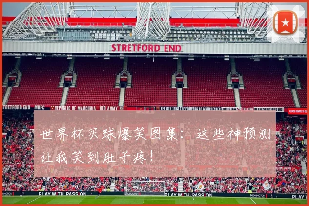 世界杯买球爆笑图集:这些神预测让我笑到肚子疼!