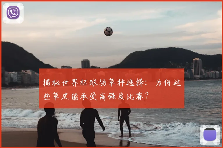 揭秘世界杯球场草种选择：为何这些草皮能承受高强度比赛？