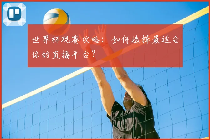 世界杯观赛攻略：如何选择最适合你的直播平台？