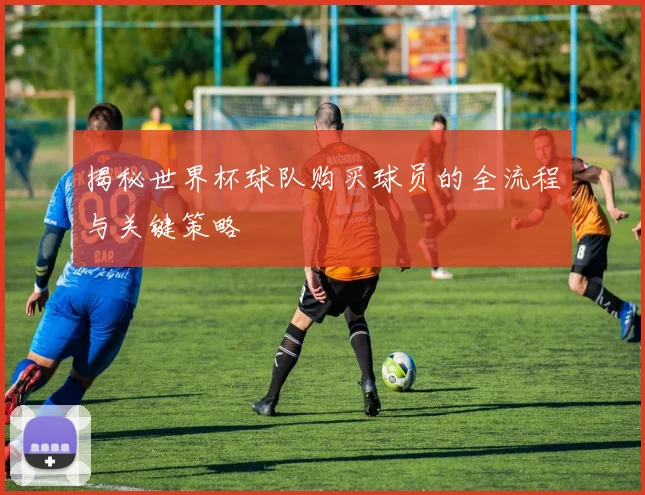 揭秘世界杯球队购买球员的全流程与关键策略