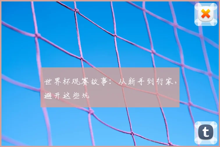 世界杯观赛故事：从新手到行家，避开这些坑