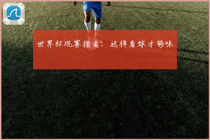 世界杯观赛指南：这样看球才够味