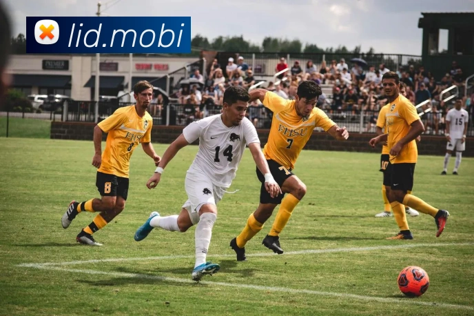 开云手机登录官网APP 体育赛事宣传图